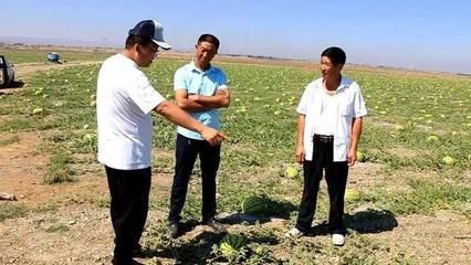 中国农业技术推广协会在找您~农化服务明星是您吗?