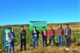 抗重茬微生态制剂 甜菜专用 预防土传病害的示范应用 现场观摩会在内蒙古林西隆重召开