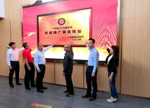 齐来打卡 江门市农技推广服务驿站玩出新花样 两个地方新增 农业网红 打卡地